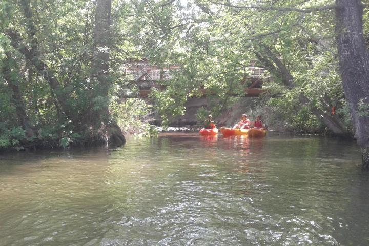 Two kayaks with people on a calm river under a bridge surrounded by trees.