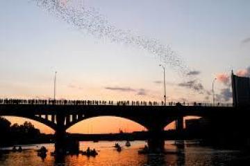 Silhouetted bridge at sunset with people and bats flying above, boats on water below.