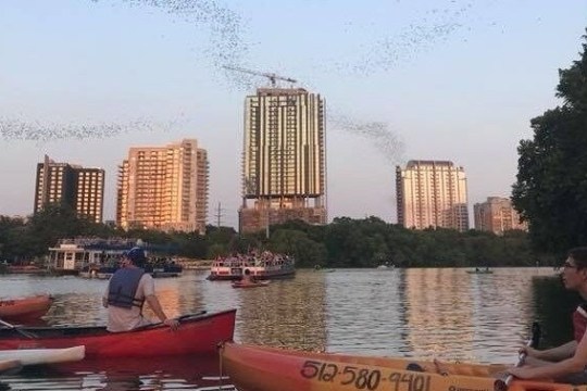 People in kayaks on a river with bats flying above at sunset.