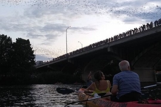 People in kayaks under a bridge with large crowd and flying birds at dusk.